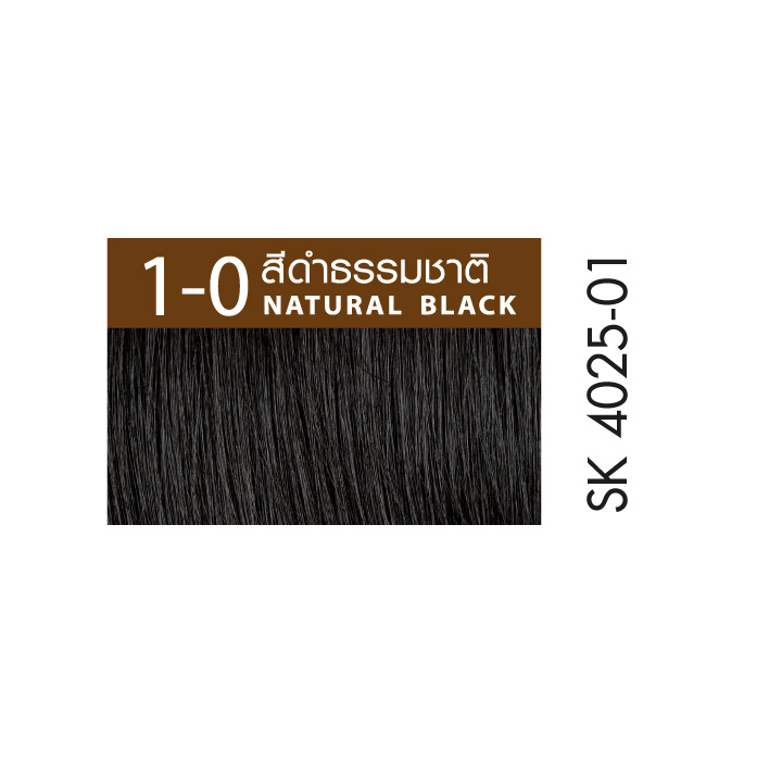 SK4025-01